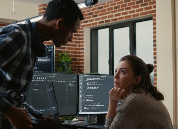 What is a Software House? Definition and Function