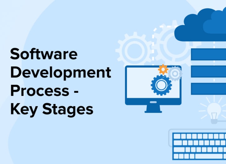 Breaking Down the Development Process: Inside a Software House