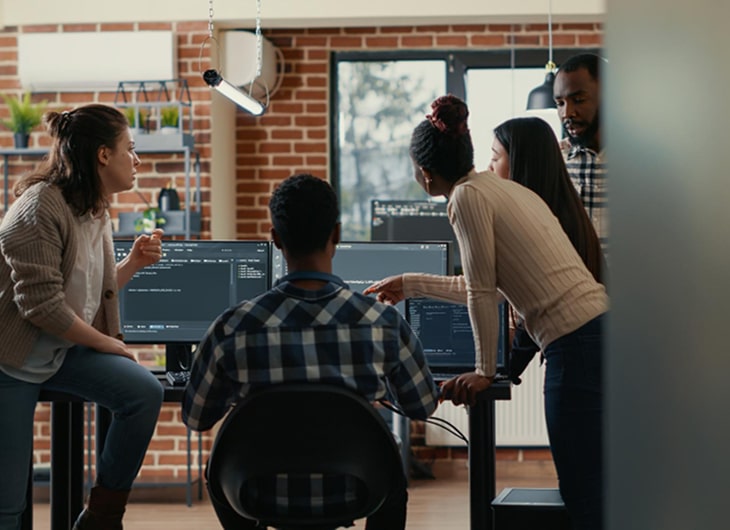 Get to know the work process of a professional software house