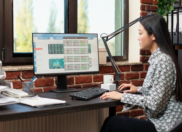 Measuring the Performance of Professional Software Houses