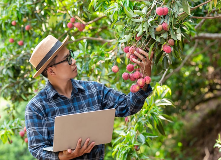 Study Why Has Apple Succeeded in Building a Loyal Ecosystem?
